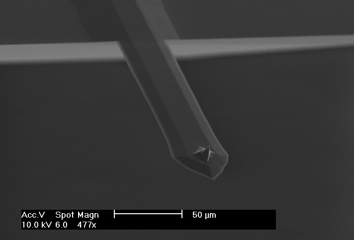 NANOSENSORS™ SDL PointProbe® Plus AFM probes with extraordinary mechanical properties